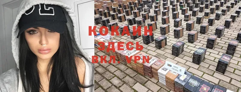 COCAIN Перу  Кузнецк 